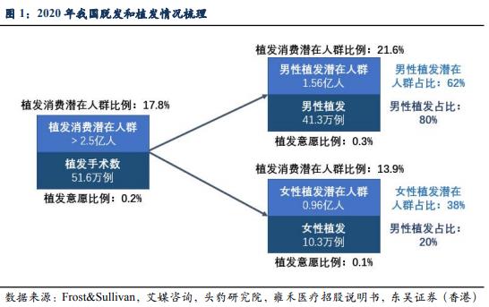 秃顶行业真有市场？未来20年 '90后''00后''10后'成植发群体主力