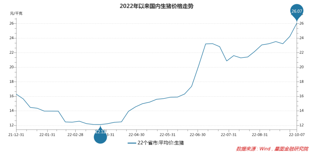 质疑与纠结不断 这轮猪周期该如何参与？