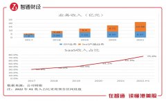 配资公司风险|起底明源云19个月市值缩水九成的背后