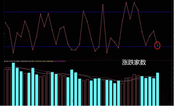 按月配资开户