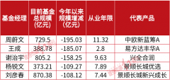 [线上配资公司]年内最抗跌公募顶流冯明远重仓了谁 最新又布局了谁？