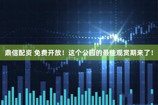 鼎信配资 免费开放！这个公园的最佳观赏期来了！