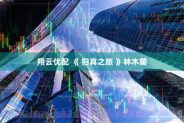 翔云优配 《 归真之旅 》林木蘭