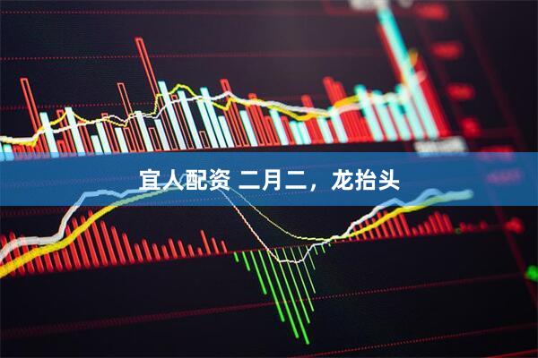 宜人配资 二月二，龙抬头